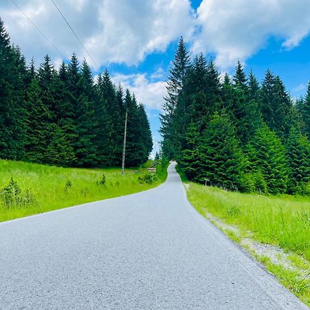 Gorska Cisza - Duzy, Komfortowy, Wyjatkowy Apartament Stronie Śląskie Εξωτερικό φωτογραφία