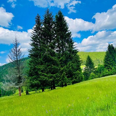 Gorska Cisza - Duzy, Komfortowy, Wyjatkowy Apartament Stronie Śląskie Εξωτερικό φωτογραφία