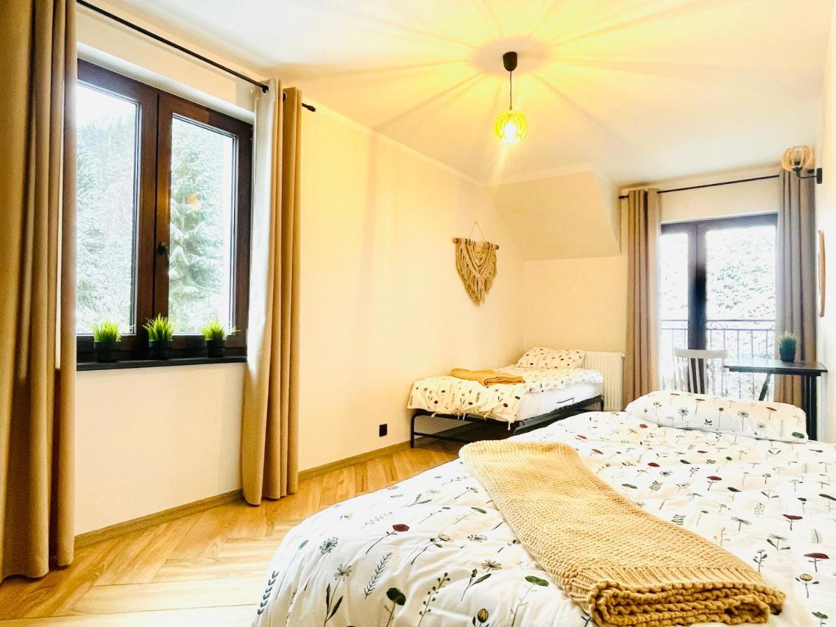 Gorska Cisza - Duzy, Komfortowy, Wyjatkowy Apartament Stronie Śląskie Εξωτερικό φωτογραφία
