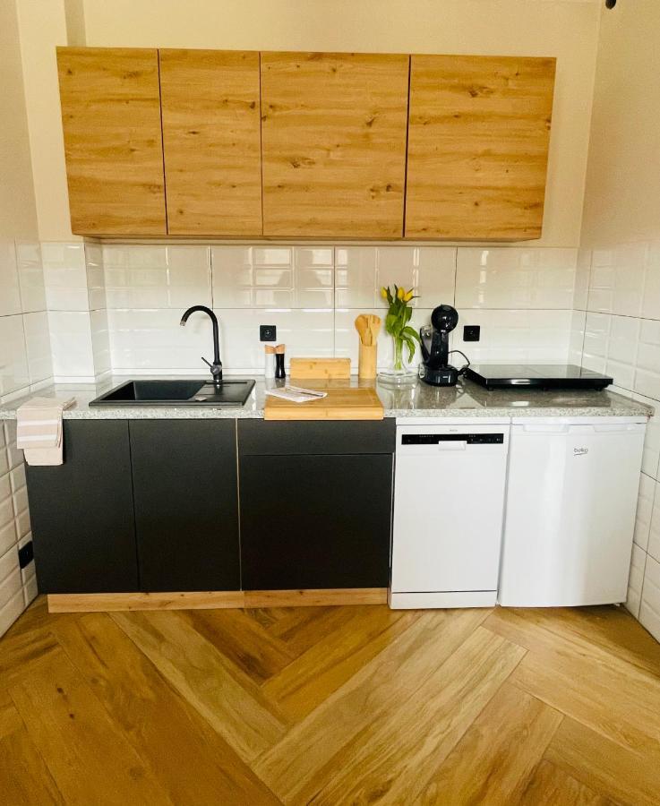 Gorska Cisza - Duzy, Komfortowy, Wyjatkowy Apartament Stronie Śląskie Εξωτερικό φωτογραφία