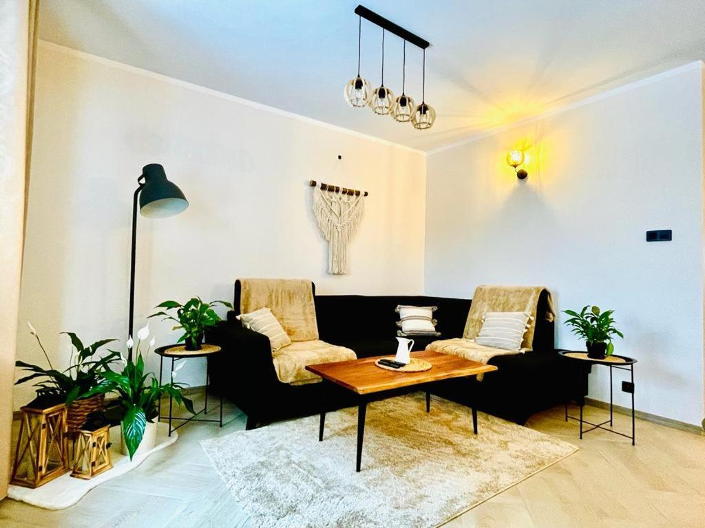 Gorska Cisza - Duzy, Komfortowy, Wyjatkowy Apartament Stronie Śląskie Εξωτερικό φωτογραφία