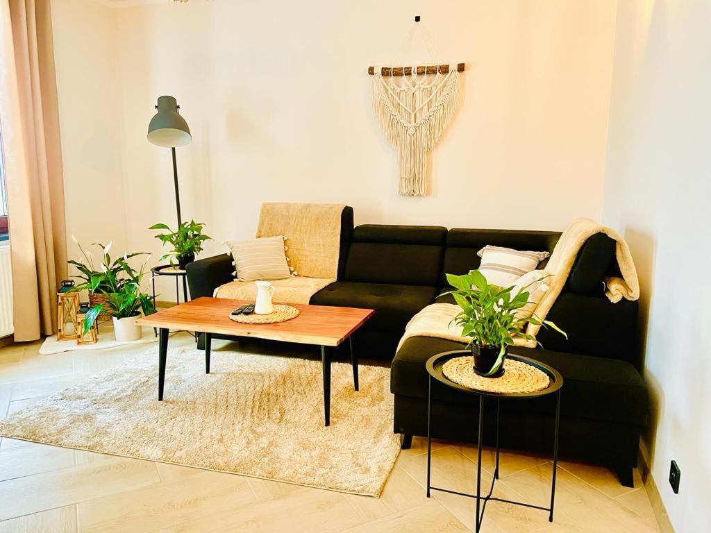 Gorska Cisza - Duzy, Komfortowy, Wyjatkowy Apartament Stronie Śląskie Εξωτερικό φωτογραφία