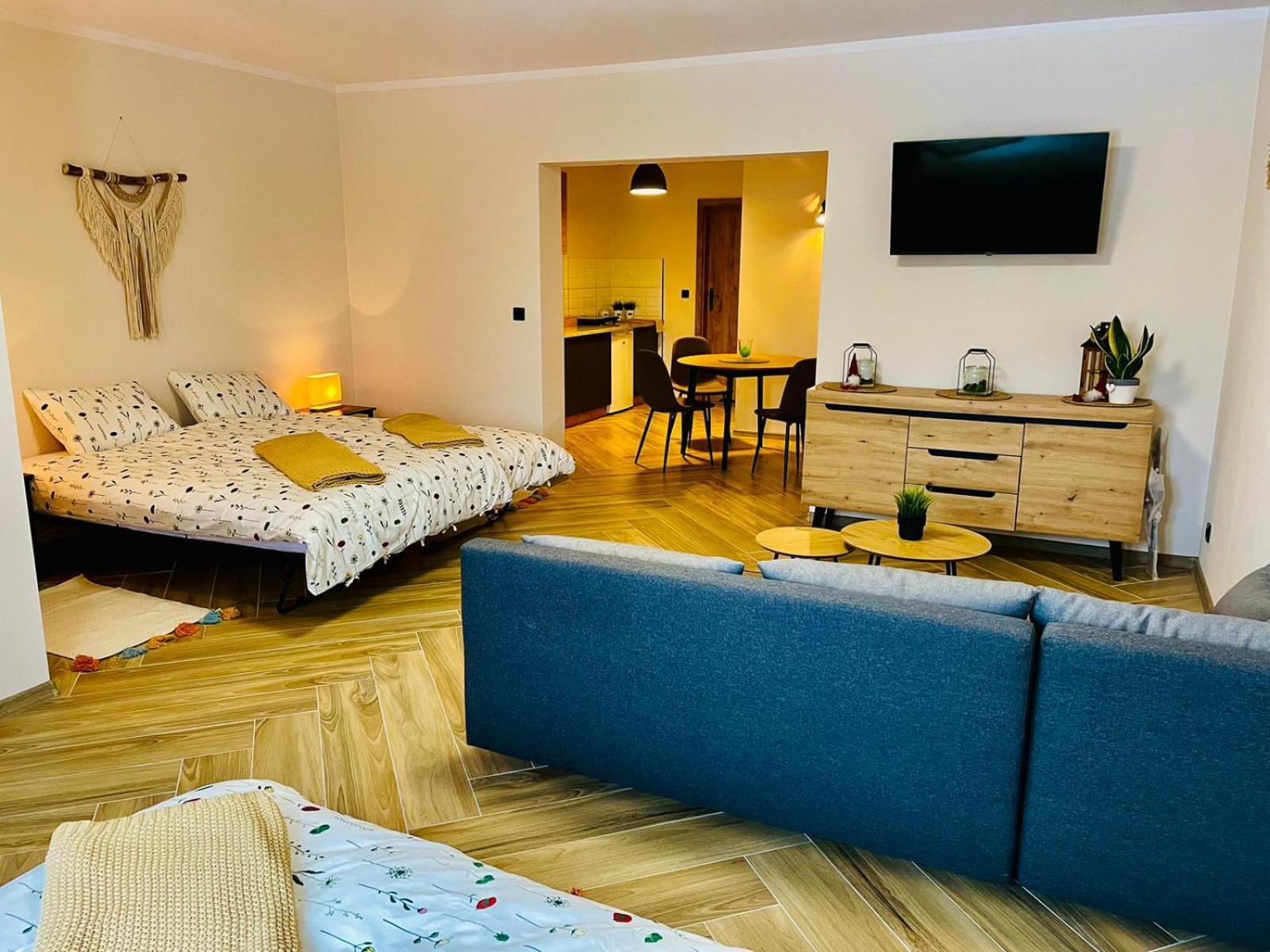 Gorska Cisza - Duzy, Komfortowy, Wyjatkowy Apartament Stronie Śląskie Εξωτερικό φωτογραφία