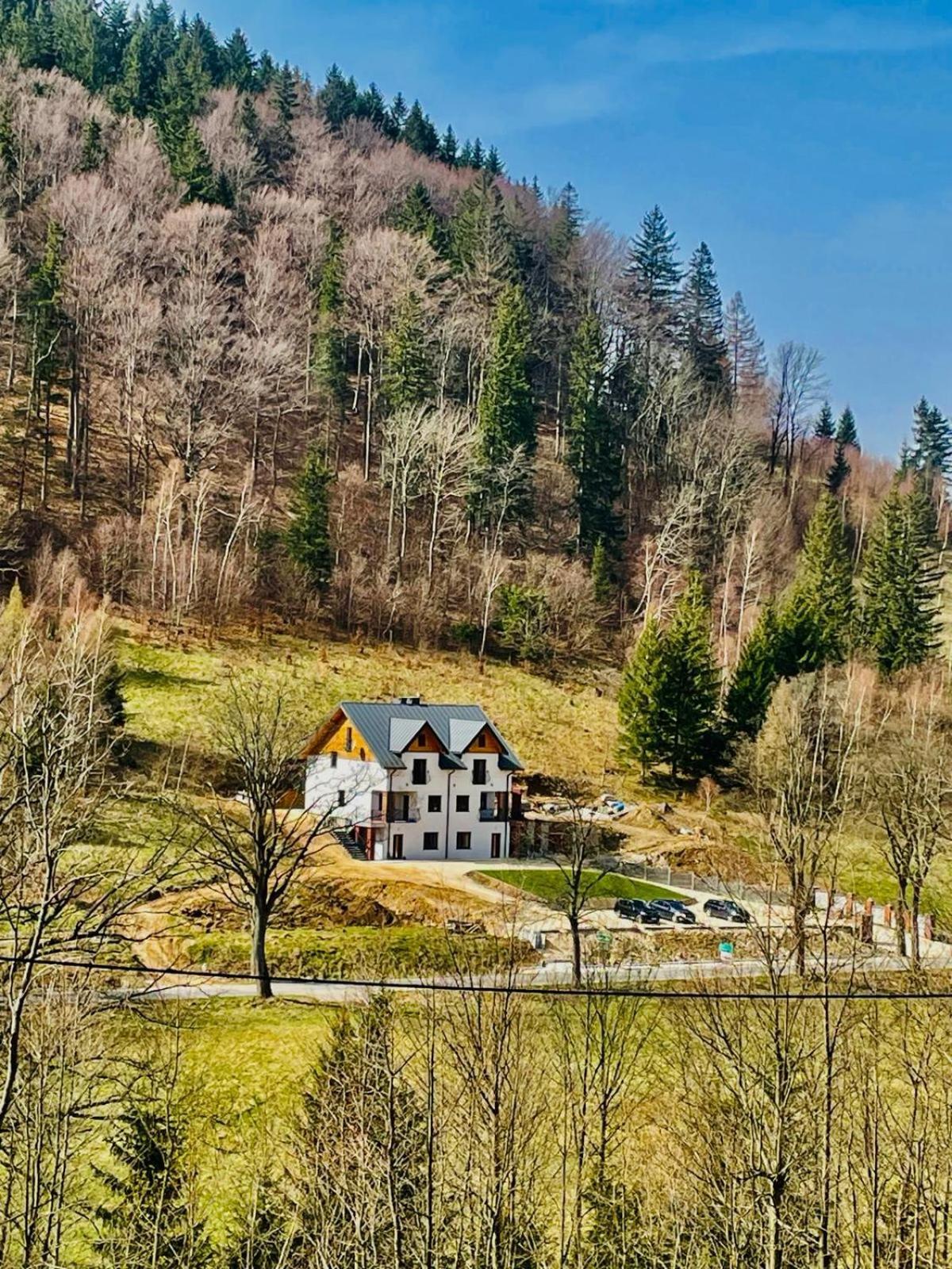 Gorska Cisza - Duzy, Komfortowy, Wyjatkowy Apartament Stronie Śląskie Εξωτερικό φωτογραφία