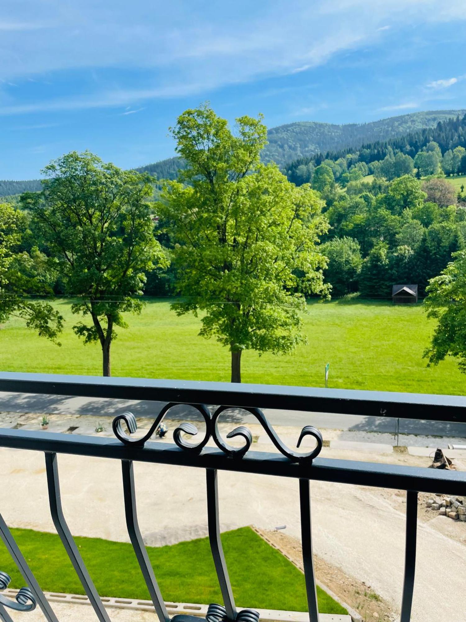 Gorska Cisza - Duzy, Komfortowy, Wyjatkowy Apartament Stronie Śląskie Εξωτερικό φωτογραφία