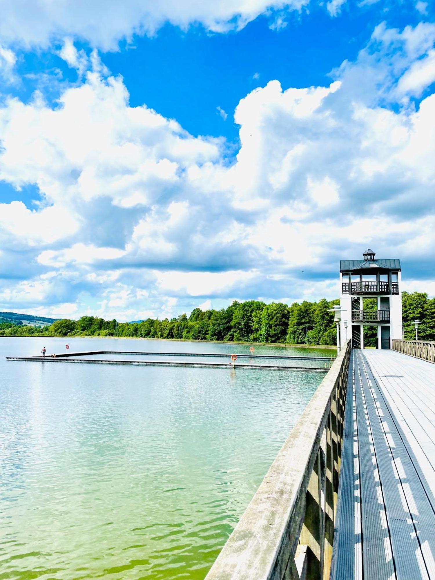 Gorska Cisza - Duzy, Komfortowy, Wyjatkowy Apartament Stronie Śląskie Εξωτερικό φωτογραφία