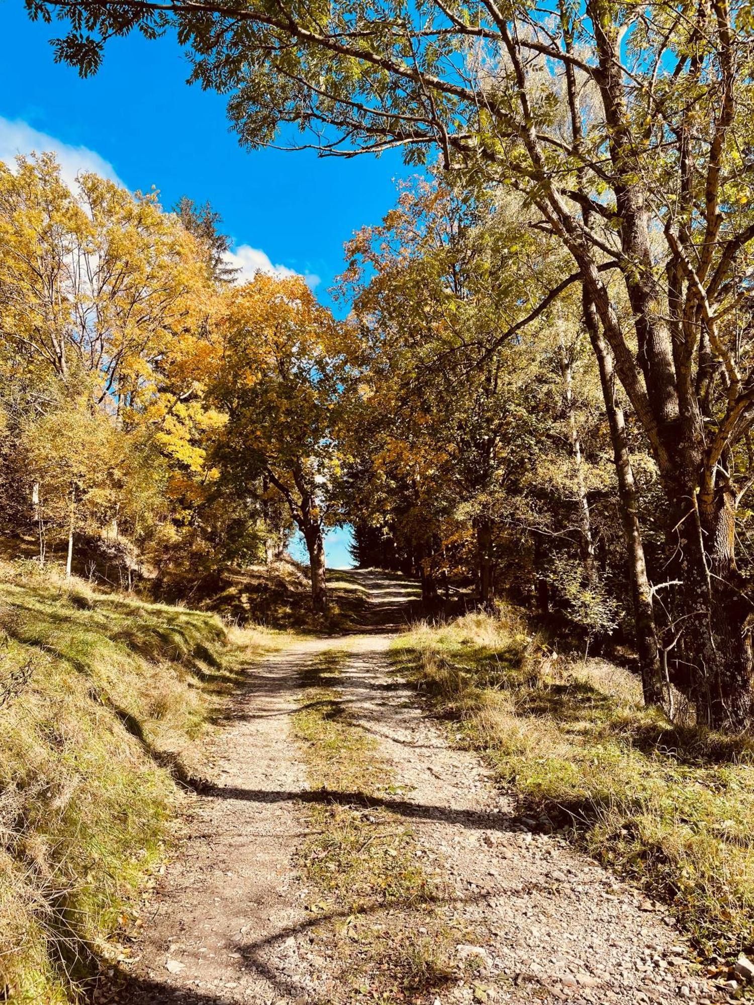 Gorska Cisza - Duzy, Komfortowy, Wyjatkowy Apartament Stronie Śląskie Εξωτερικό φωτογραφία